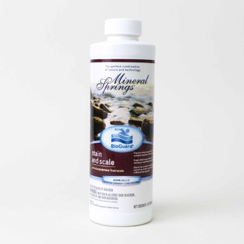 Mineral Springs® Stain and Scale - 1 qt.