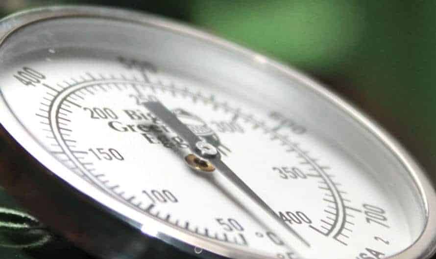 Temperature Control Big Green Egg