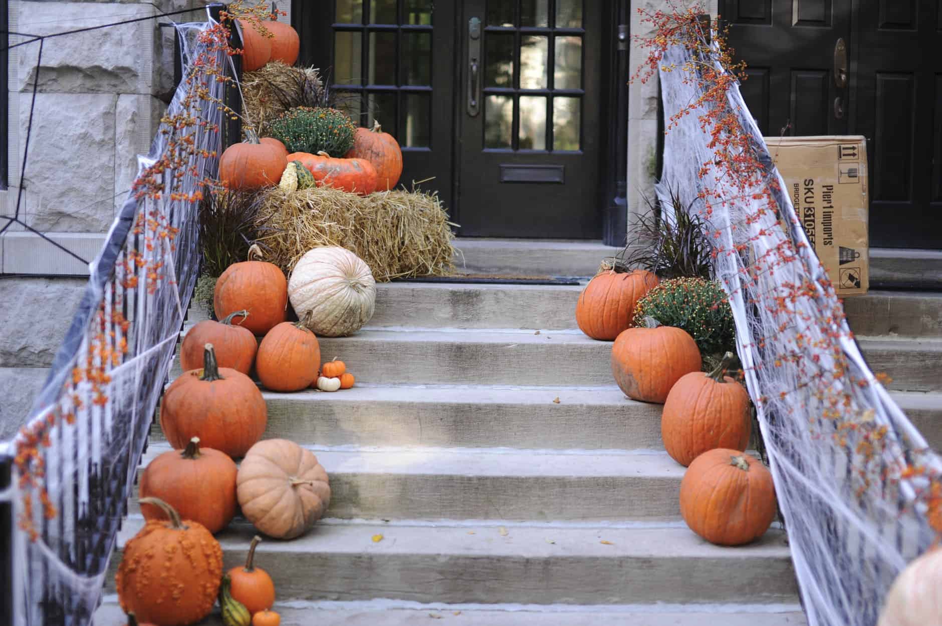 Comment décorer votre jardin pour Halloween - Decorate Your BackyarD For Halloween