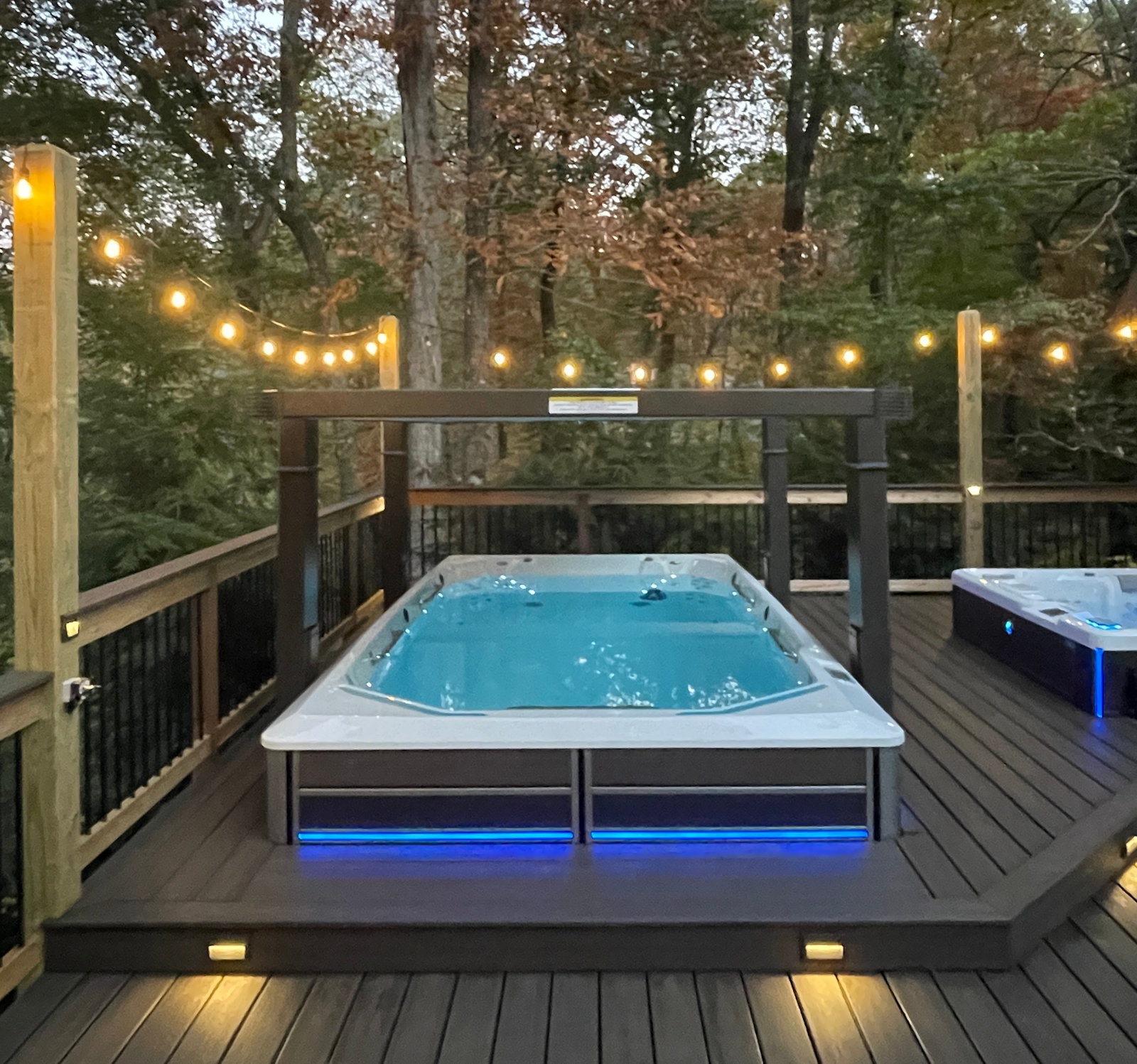 Endless Pool