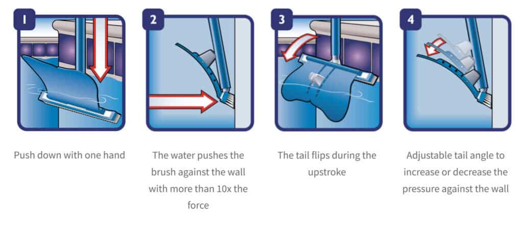 wall whale diagram